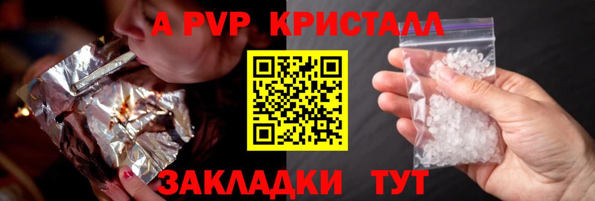 A-PVP СК Горно-Алтайск